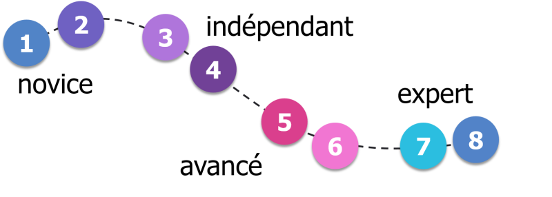8 niveaux de maîtrise