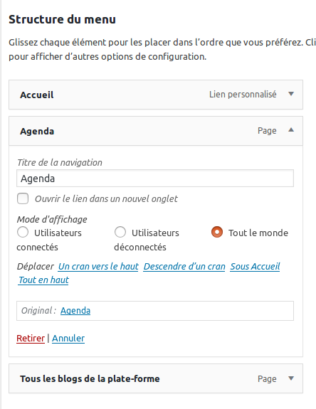 Pour personnaliser son menu quand l'extension "Nav Menu Roles" est activé