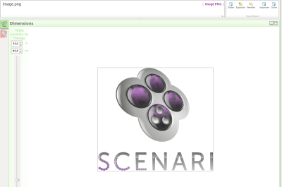 Fenêtre de gestion d'une image